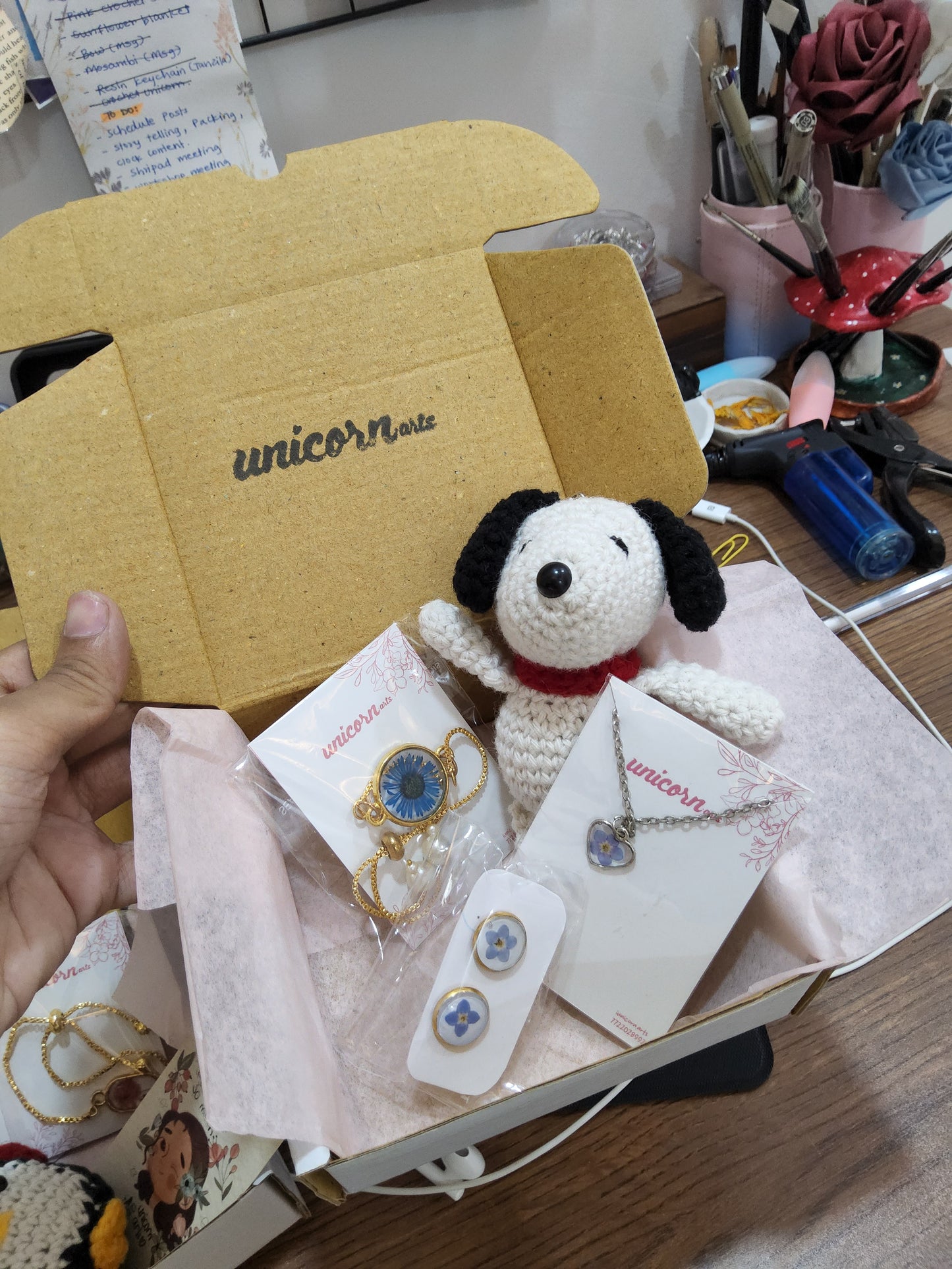 Snoopy bundle