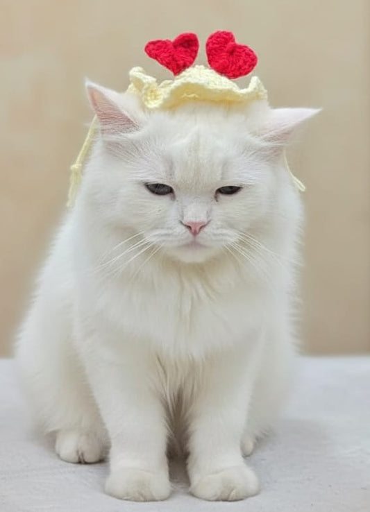 Sweetheart cat cap