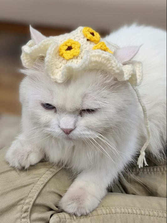 Sunflower cat cap