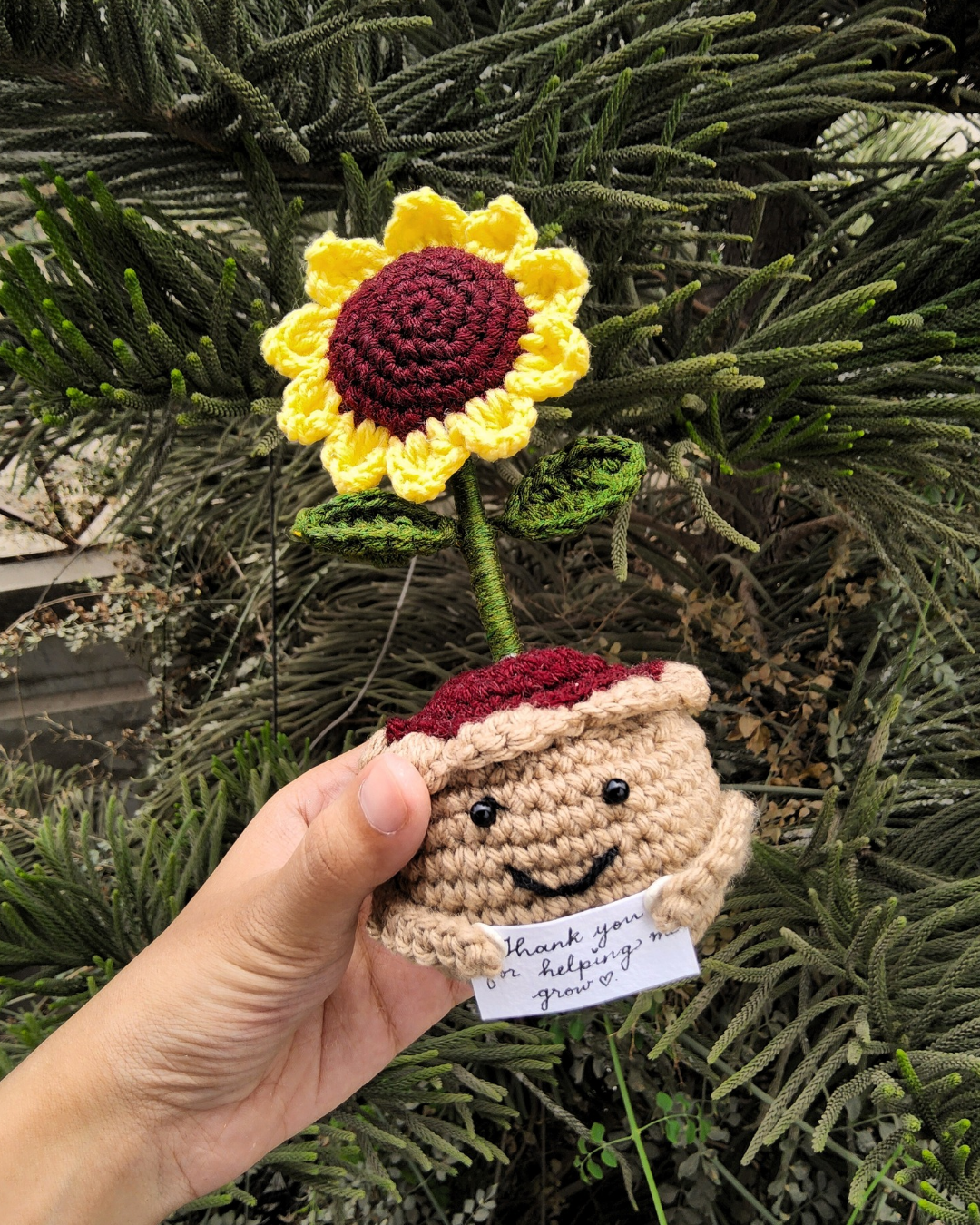 Positive Sunflower